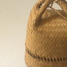IMG_8628.jpeg