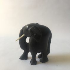 IMG_8717.jpeg