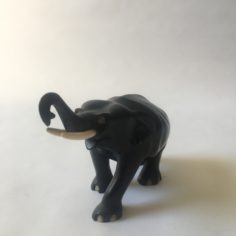 IMG_8721.jpeg
