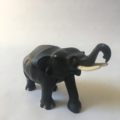 IMG_8722.jpeg