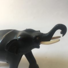 IMG_8723.jpeg