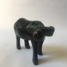 IMG_8734.jpeg