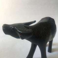 IMG_8735.jpeg