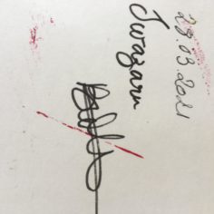 219529675_565382501332665_8522563868332232682_n-1.jpg