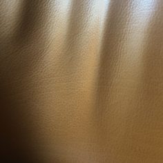 CUIR-CANAP.jpeg