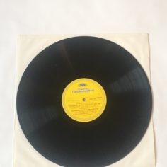 IMG_9486.jpeg
