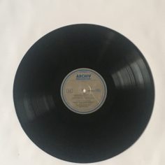 IMG_9529.jpeg
