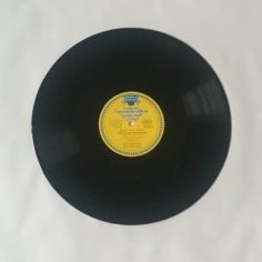 IMG_9551.jpeg