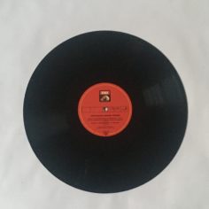 IMG_9554.jpeg