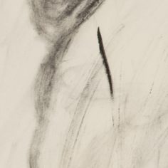 QO3B8392-2.jpg