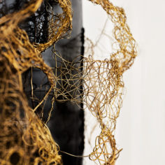 Cocoon-II-2.jpg