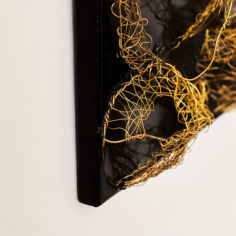Cocoon-II.jpg