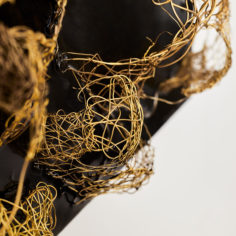 Cocoon-II-3.jpg