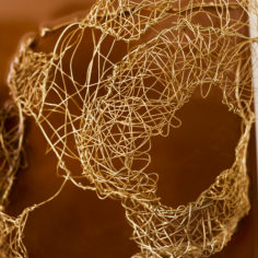 Cocoon-IV-2.jpg