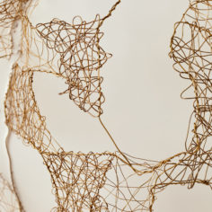 Cocoon-V-9.jpg