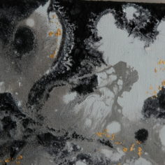 DSCF1639.jpg