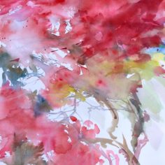 D83AECAC-BC5C-4CEE-A9C6-4E856EF7DE73.jpeg