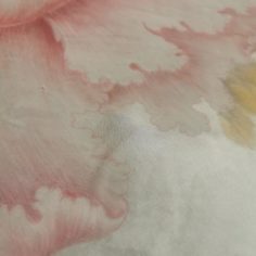 E8D7390D-A15A-49A1-A9A1-9AAE3C282C2A.jpeg