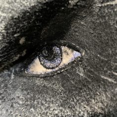 oeil-Micha.jpg