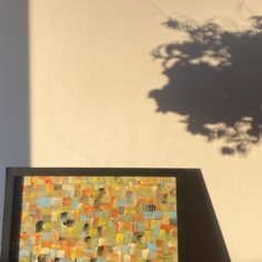 29F3C4B1-D695-4AEF-8445-67B9D7ACD384.jpeg