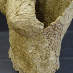 Isis-Detail.-Sculpture-Sylvie-LOUDIERES-3.jpg