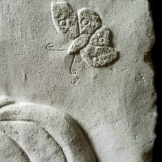 20210915_101219.jpg