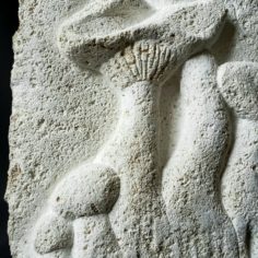 20210915_101901.jpg