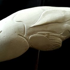 20220302_101807.jpg