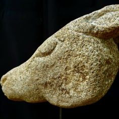 Biche4.jpg