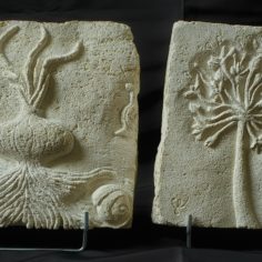 Diptyque-Oignons-2.jpg