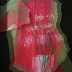 Rose-cardamine-1.jpg