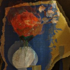 Rose-pivoine-1.jpg