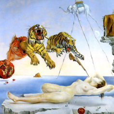 dali-leveil.jpg