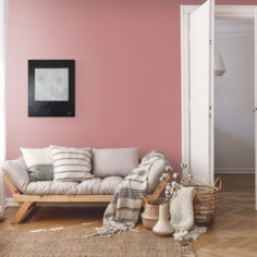 Peaceful_living_room_Wall-pink2.jpg