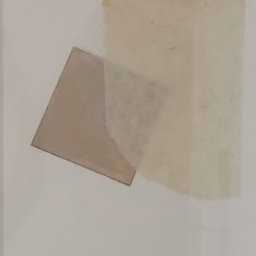 Presence-close-up.jpg