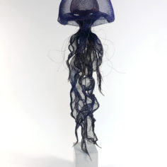 meduse-bleue-grande-1.jpg