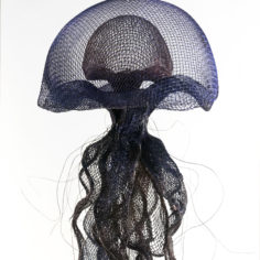 meduse-bleue-grande-2.jpg