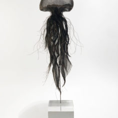 meduse-cuivre-1.jpg