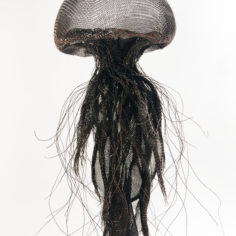 meduse-cuivre-4.jpg