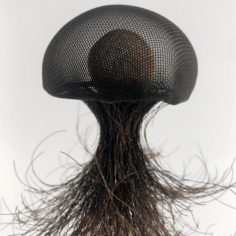 meduse-cuivre-sans-tentacules-2.jpg