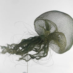 meduse-verte-grande-2.jpg