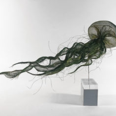 meduse-verte-grande-3.jpg