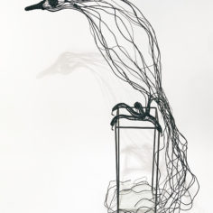 oiseau-1-patte-1-1.jpg