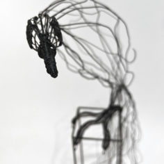 oiseau-1-patte-5.jpg