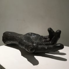 E823D454-408B-4574-A3D3-EA9E3C66495F.jpeg