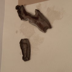 Hesitations-close-up.jpg