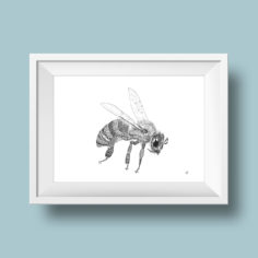 Mockup_abeille_1.jpg