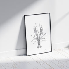 mockup_homard_1.jpg