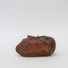 4-de-263.jpg