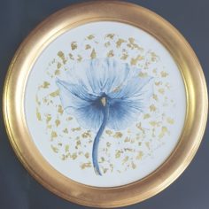 Amapola-y-oro.jpg